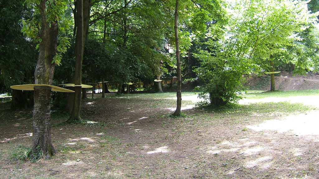 Une installation à la lisière d'un bois d'énigmatiques disques de couleur jaune autour de troncs d'arbres.
