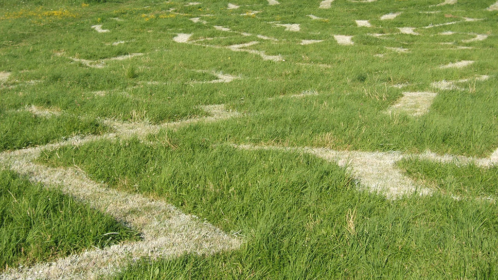Installation en extérieure d'un dédale tracé au sol dans l'herbe tel un labyrinthe.