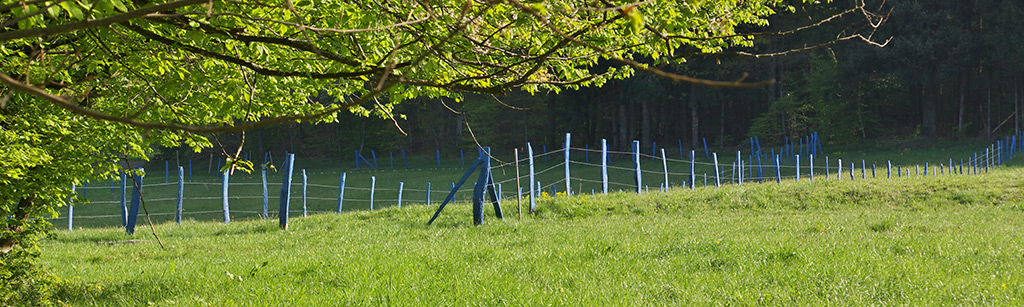 210 piquets de clôture peints pour ajouter une couleur inhabituelle dans ce paysage rural.