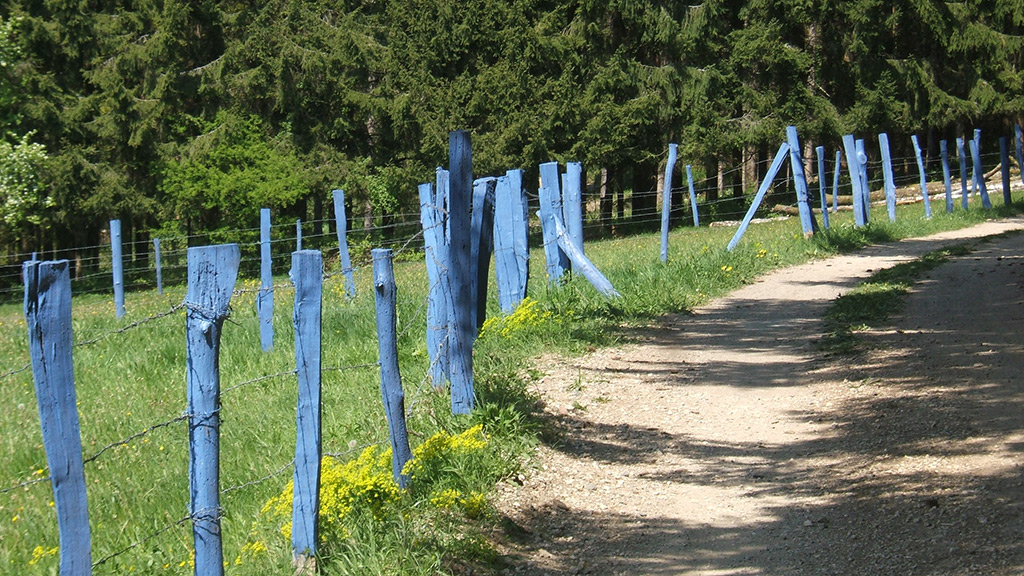 210 piquets de clôture peints pour ajouter une couleur inhabituelle dans ce paysage rural.
