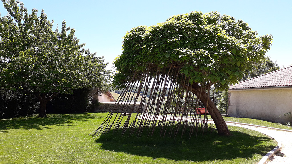 Installation d'une sculpture sous un arbre projetant une ombre portée.