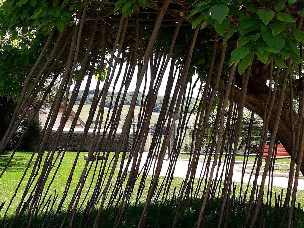 Détail d'une installation de l'artiste Anne Mangeot, des branches inclinées sous un arbre projette une ombre portée au sol.