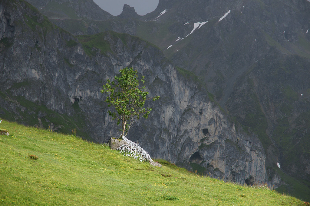 Installation d’art contemporain de l'artiste Anne Mangeot en extérieur : un arbre pousse, enveloppé à sa base par une structure en treillis de branches blanches, dans une prairie verte en pleine montagne.
