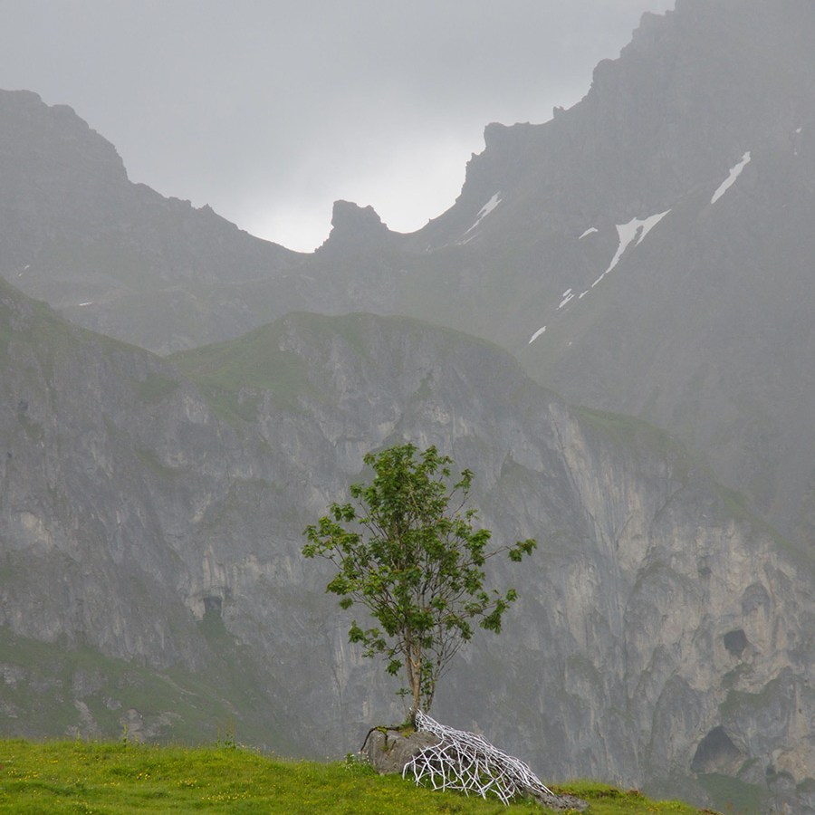 Installation in situ d’art contemporain d'Anne Mangeot : un arbre pousse, enveloppé à sa base par une structure en treillis de branches blanches, sur fond de montagne.