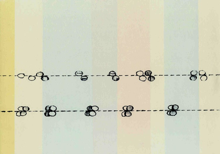 Gravure de traces de belette sur fond coloré.