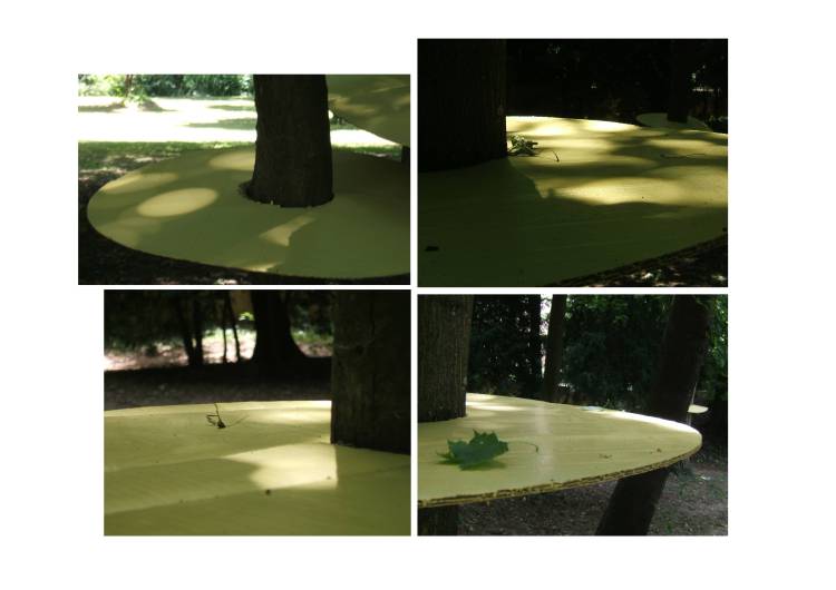 Détails d'une installation artistique d'un disque installé autour d'un tronc d'arbre.